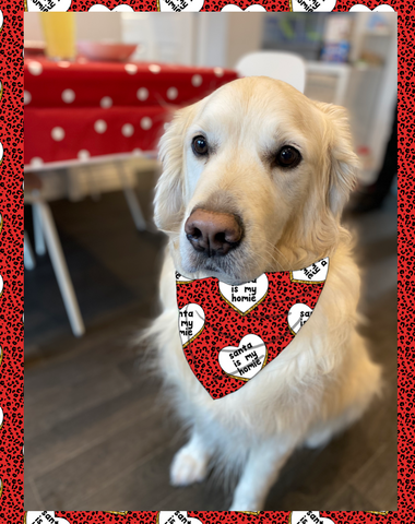 Santa Is My Homie Bandana