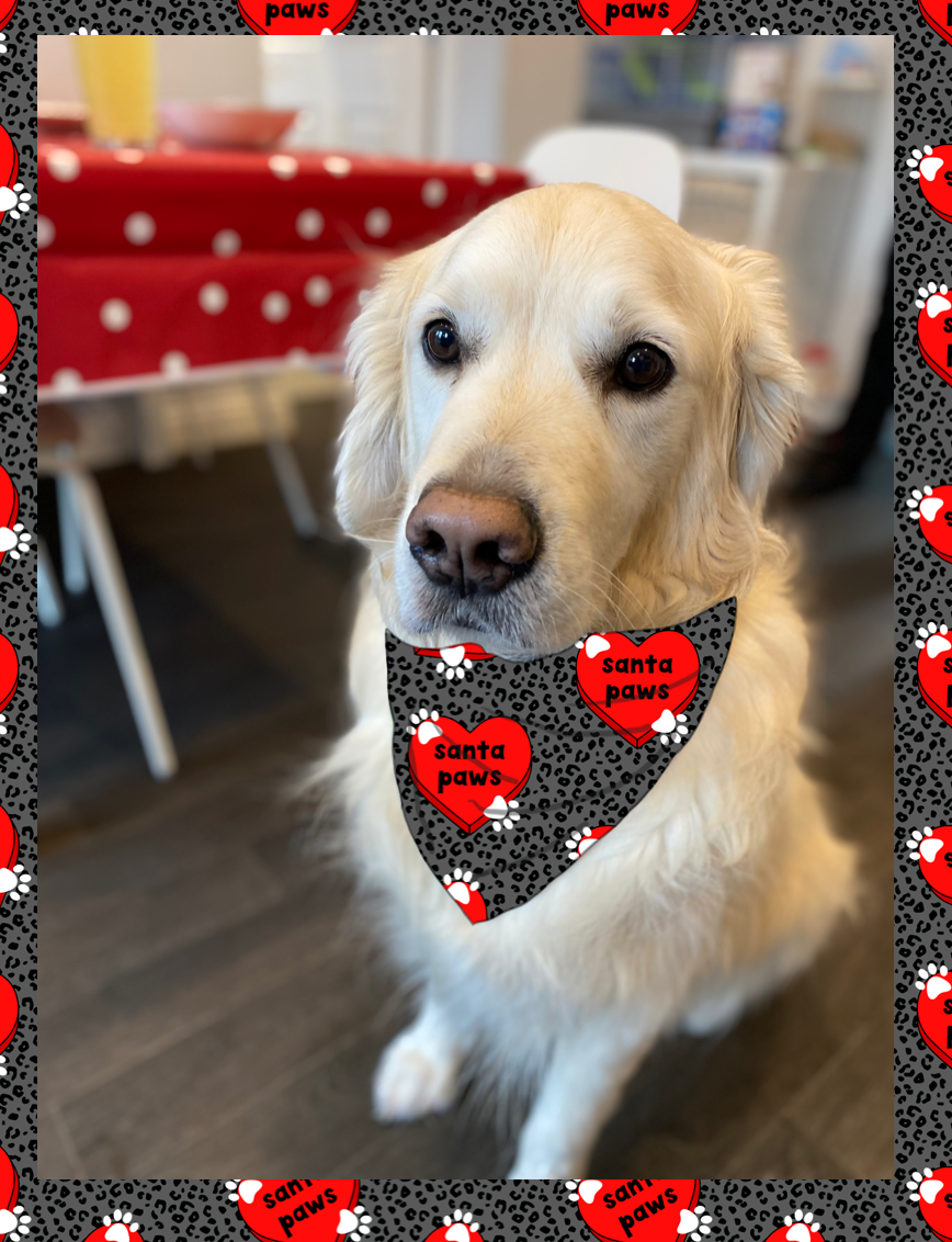 Santa Paws Bandana