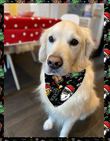 Hip Hop Christmas Bandana