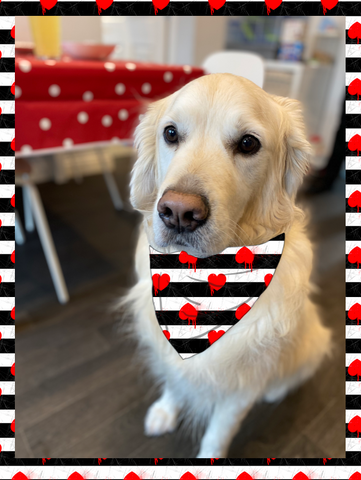 Heart Stripes Bandana