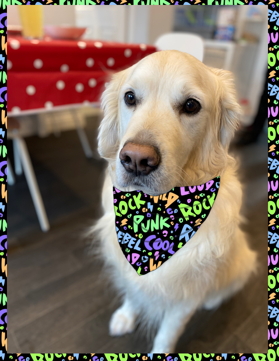 Rock Rebel Cool Bandana