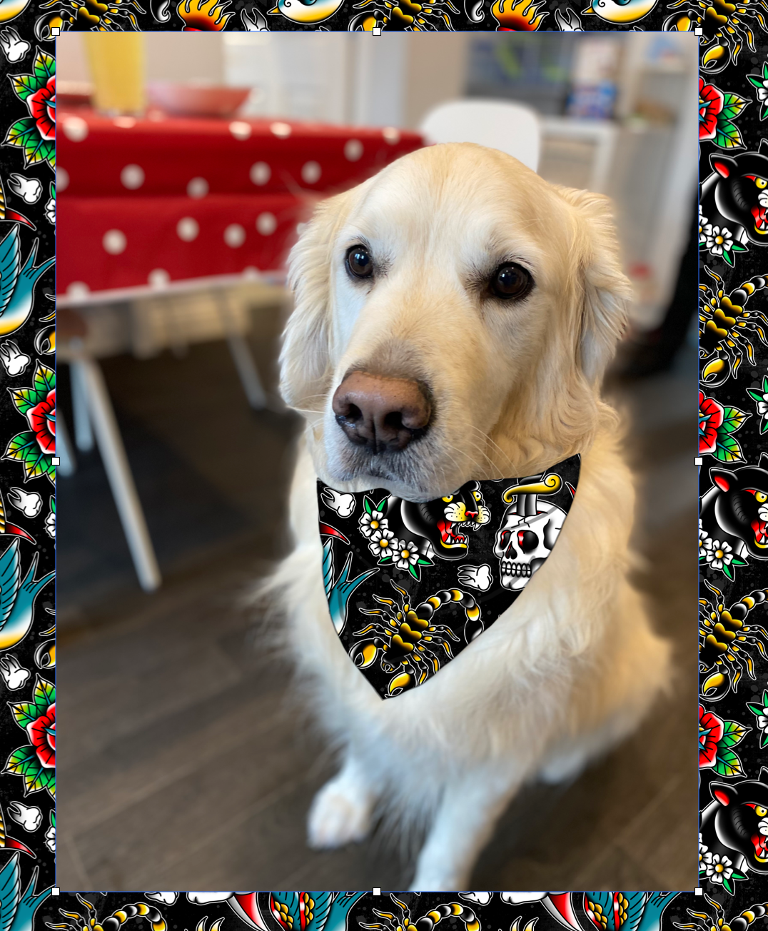 Black Trad Tattoo Pet Bandana